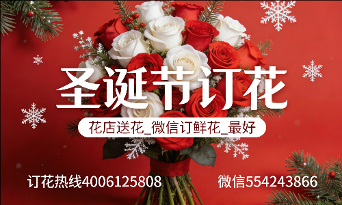 阜阳花店送花_微信订鲜花_圣诞节订花_最好? 阜阳花店
